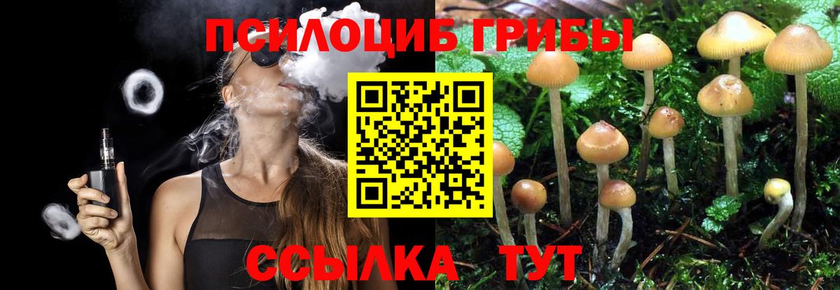 Рославль  Галлюциногенные грибы Psilocybe  Вход с VPN 